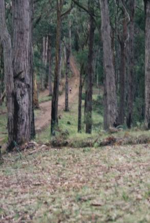 Rich on the second radar trap