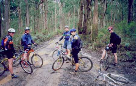 Pauly, Duncan, Dave, Fruitbat, Joey, and Tim's bike