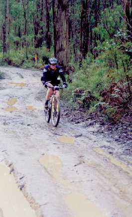Mel threads her way through most of the puddles